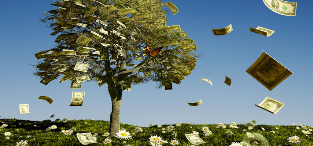 Money grows on trees_spending