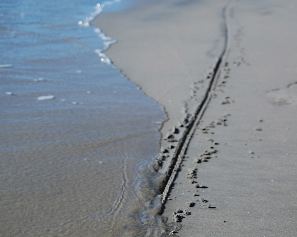 drawing the line in the sand