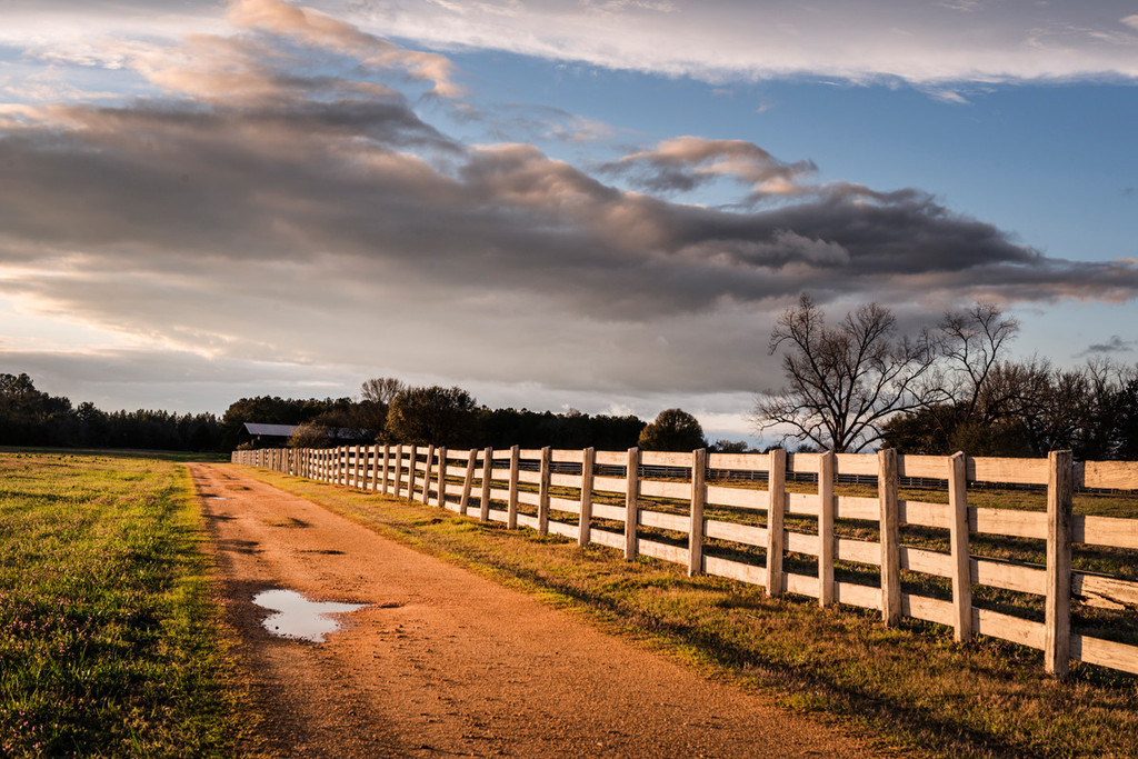 Rural country Road in Alabama