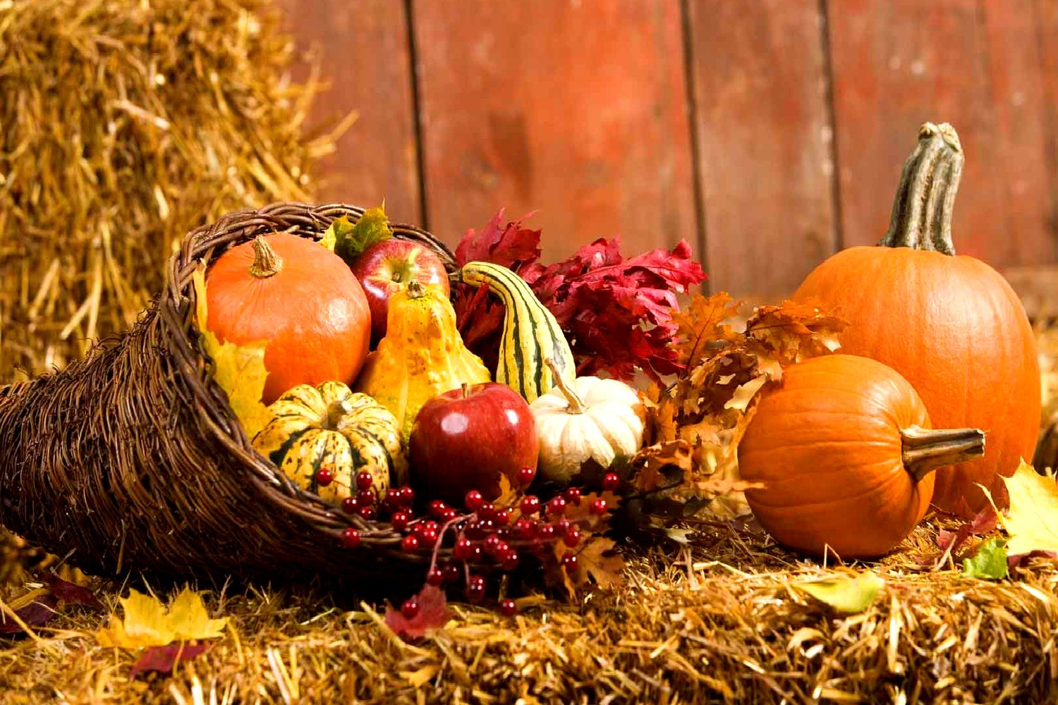 The Alabama delegation celebrates Thanksgiving