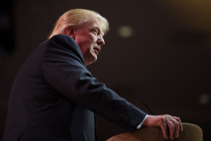 New polls show Donald Trump strong but “race still young”