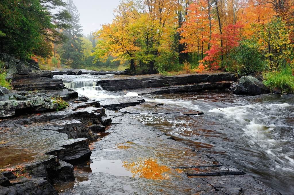 river creek water