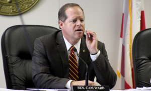 Senate committee greenlights Ten Commandments for display on school, state property