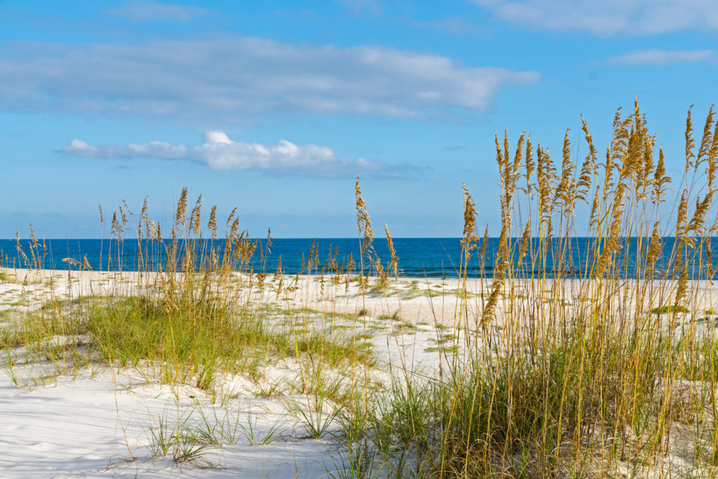 Gulf Coast Alabama beach