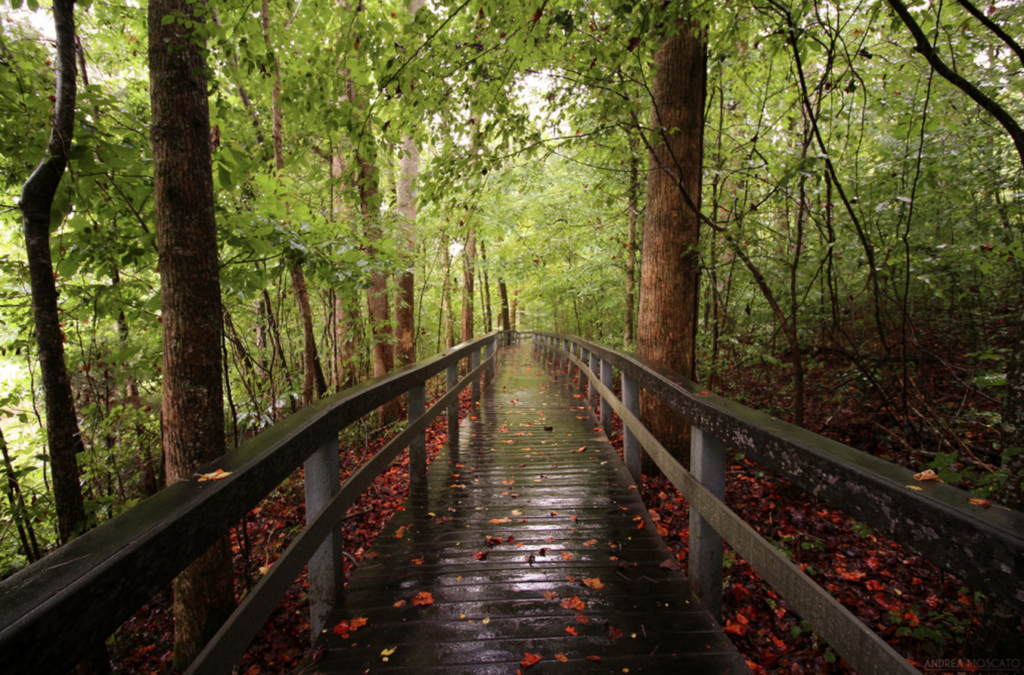 Russell Cave National Monument