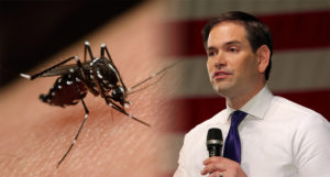 Abortion rights group hits Marco Rubio over Zika
