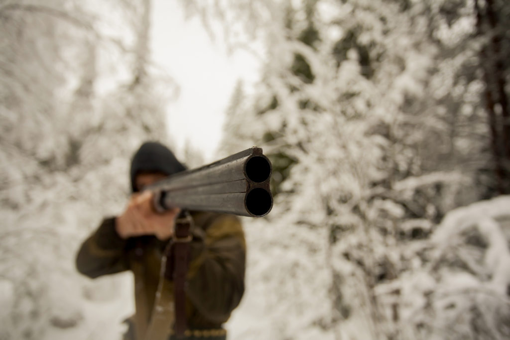 gun-hunting-shooting