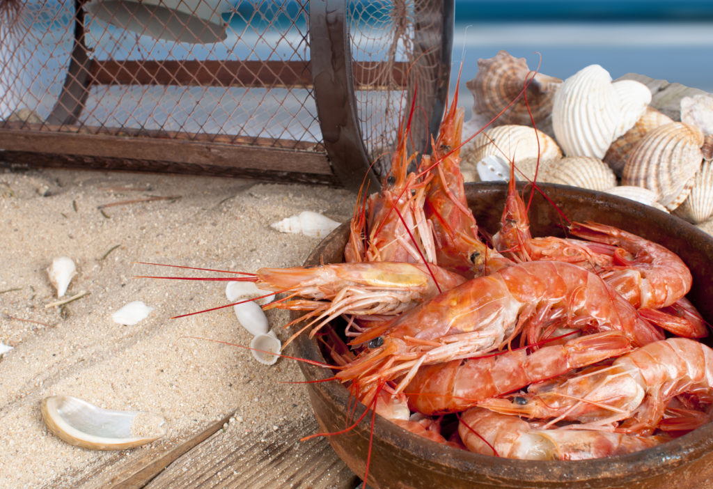 Plenty of shrimp, fewer and fewer baiters Shrimp baiting season opens  Friday, News