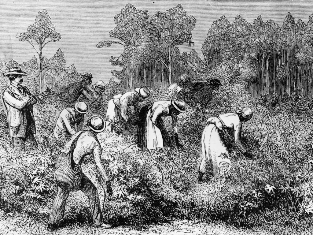 slavery in fields