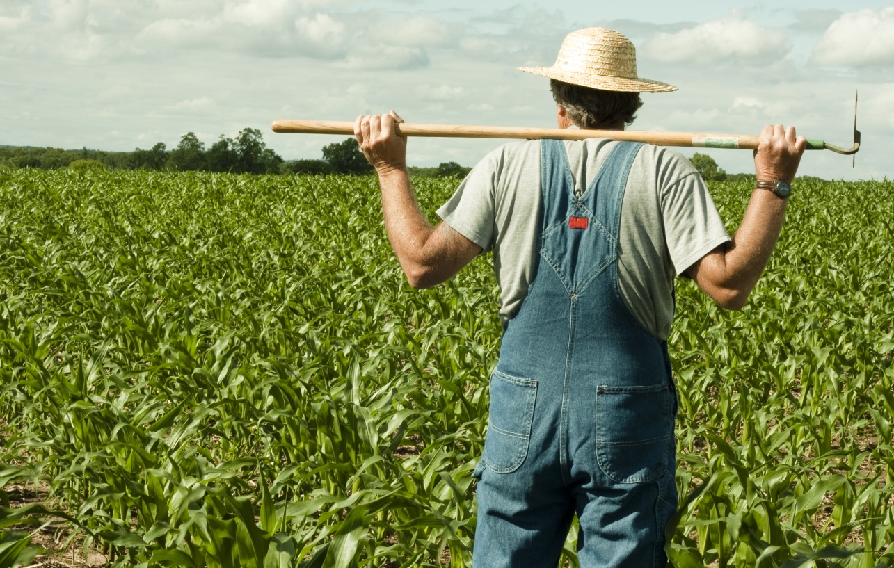 Mike Rogers: Helping East Alabama's farmers