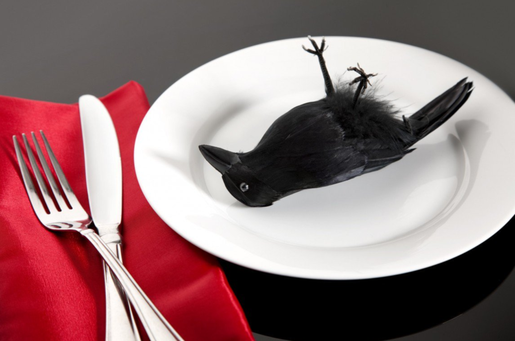 eating crow