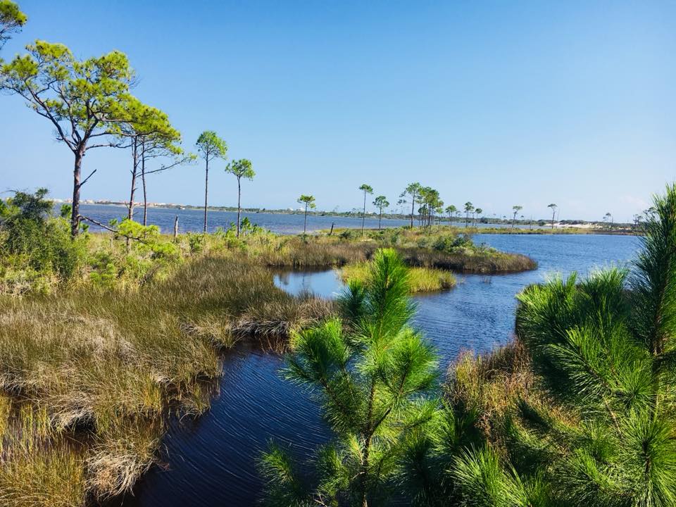 Bon Secour National Wildlife Refuge