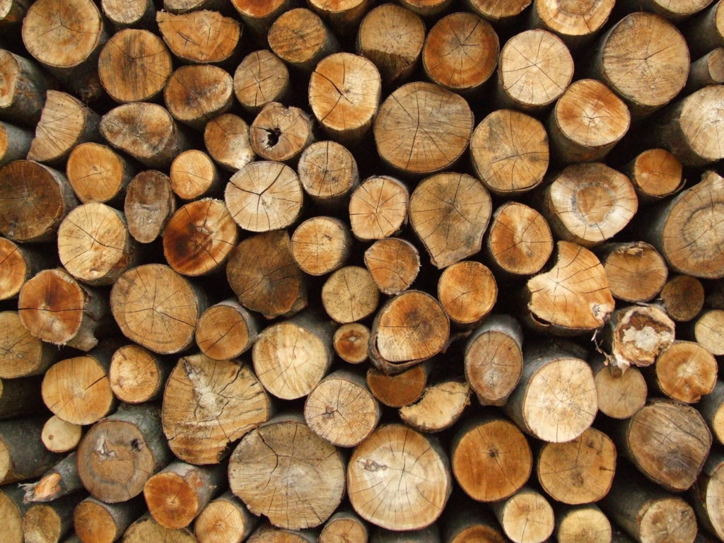 lumber wood