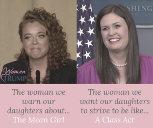 Michelle wolf meme