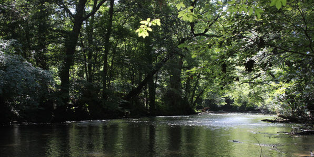 Little Cahaba River