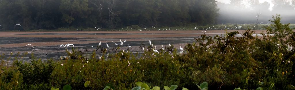 Wheeler National Wildlife Refuge Complex