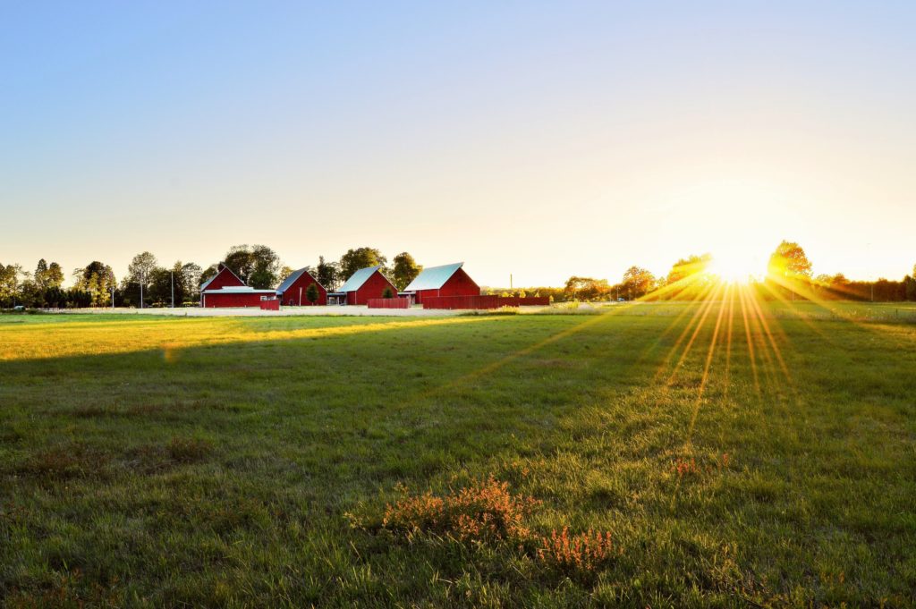 agriculture farm