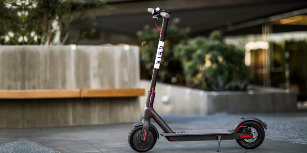 bird electric scooter