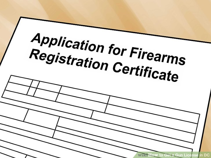 gun license