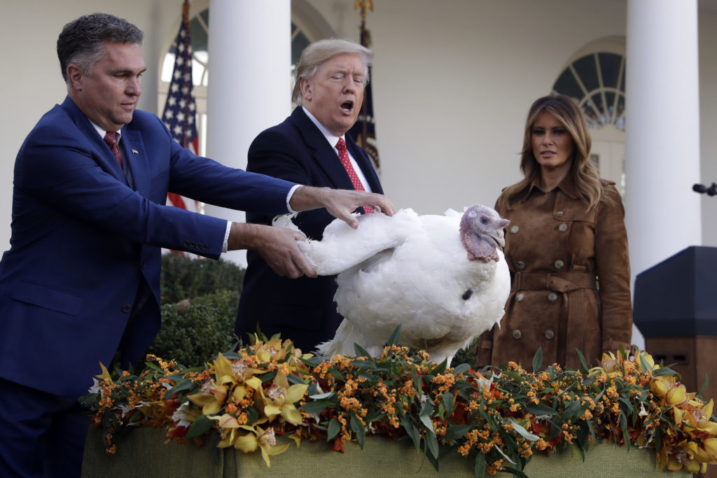 white house turkey