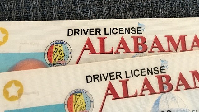 Alabama drivers license