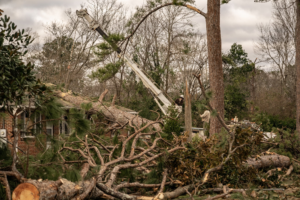 Three more Alabama counties eligible for FEMA aid for storms